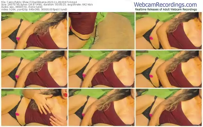 2023/11/28/cams-01wildmaria-00-47-14