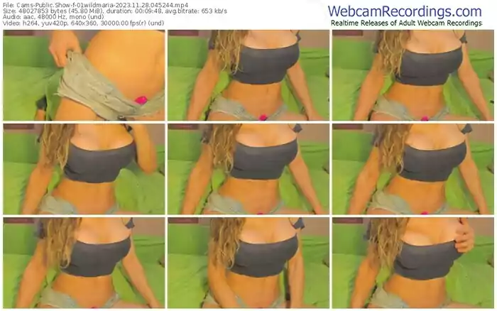 2023/11/28/cams-01wildmaria-04-52-44