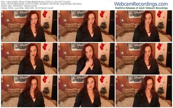 2023/11/28/cams-adorablemistress-13-17-12