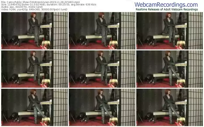 2023/11/28/cams-mistressvivian-21-54-03