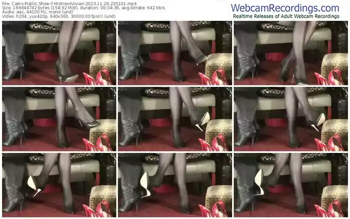 2023/11/28/cams-mistressvivian-23-51-01