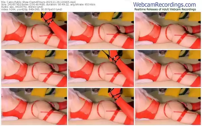 2023/11/29/cams-iamallyours-12-04-05