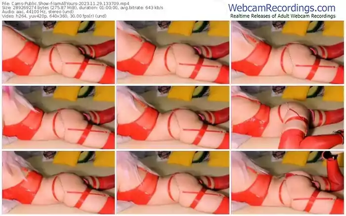 2023/11/29/cams-iamallyours-13-37-09