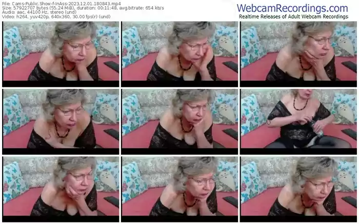 2023/12/01/cams-inass-18-08-43