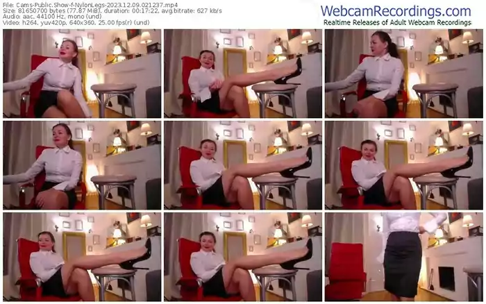 2023/12/09/cams-nylonlegs-02-12-37