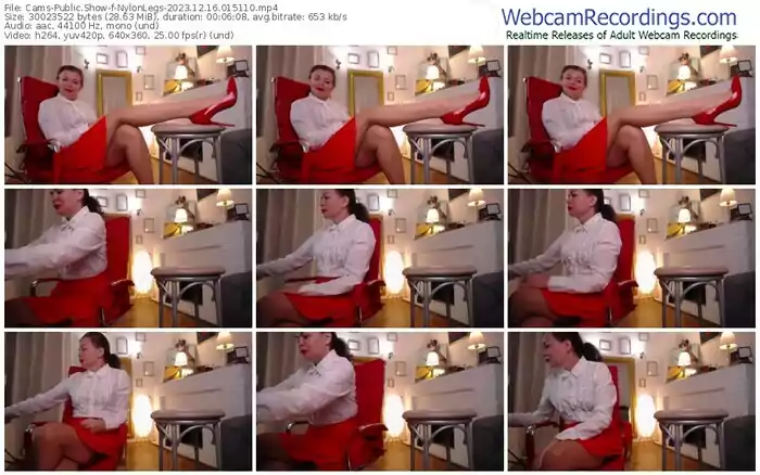 2023/12/16/cams-nylonlegs-01-51-10