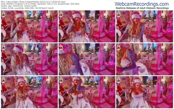 2023/12/17/cams-aspenpeeks-00-31-30