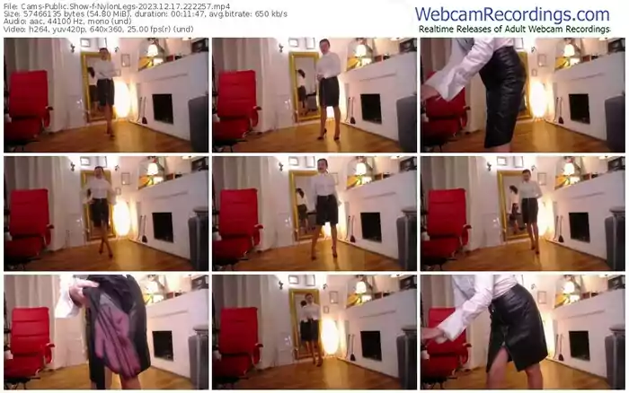 2023/12/17/cams-nylonlegs-22-22-57