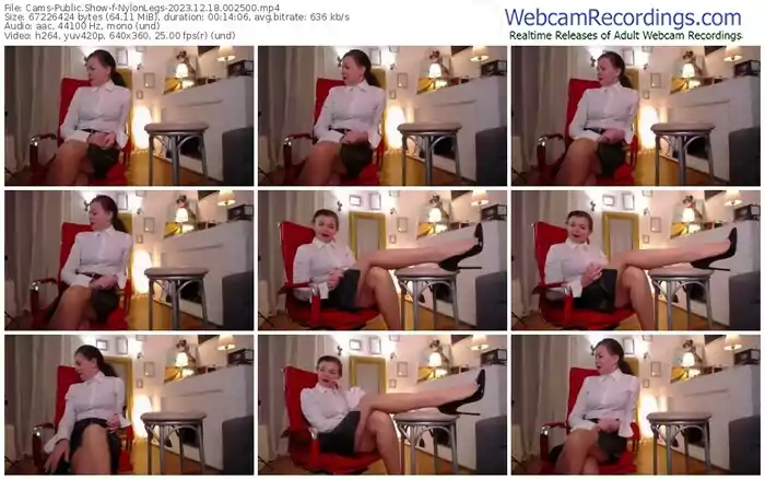 2023/12/18/cams-nylonlegs-00-25-00