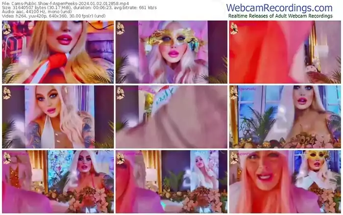 2024/01/02/cams-aspenpeeks-01-28-58
