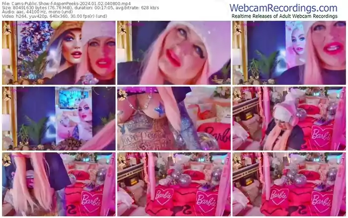 2024/01/02/cams-aspenpeeks-04-08-00