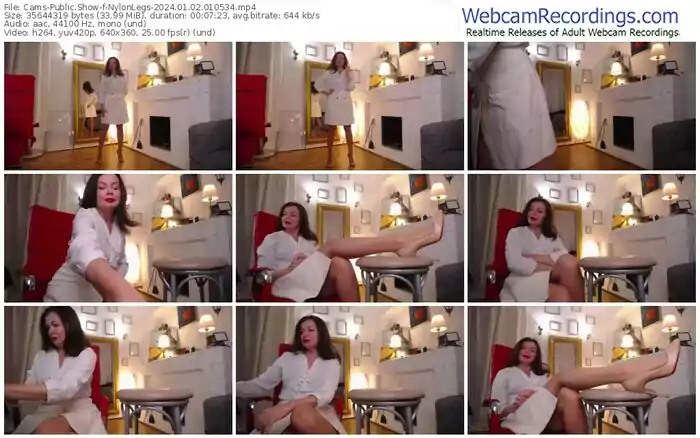 2024/01/02/cams-nylonlegs-01-05-34