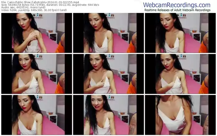 2024/01/03/cams-ahotcpl4u-02-21-55