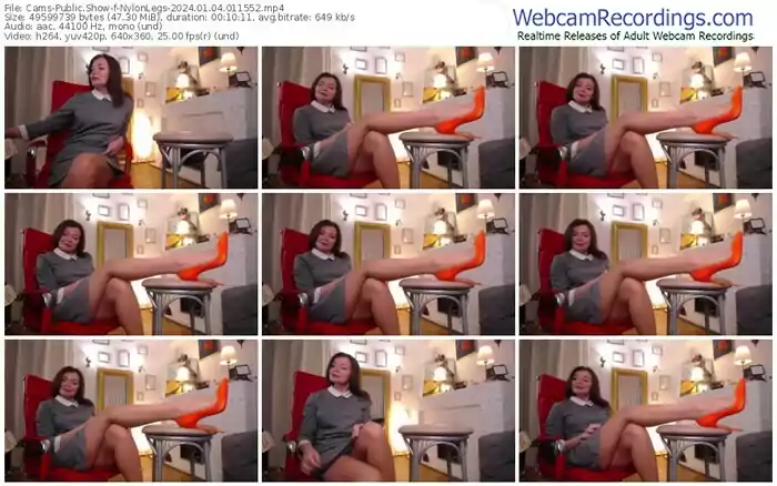 2024/01/04/cams-nylonlegs-01-15-52