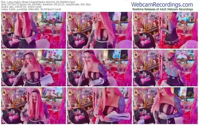 2024/01/05/cams-aspenpeeks-20-06-53