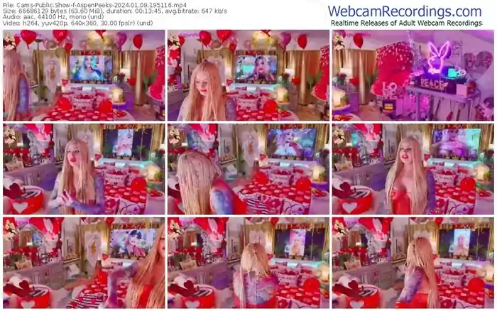 2024/01/09/cams-aspenpeeks-19-51-16