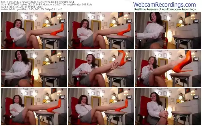 2024/01/13/cams-nylonlegs-02-29-49