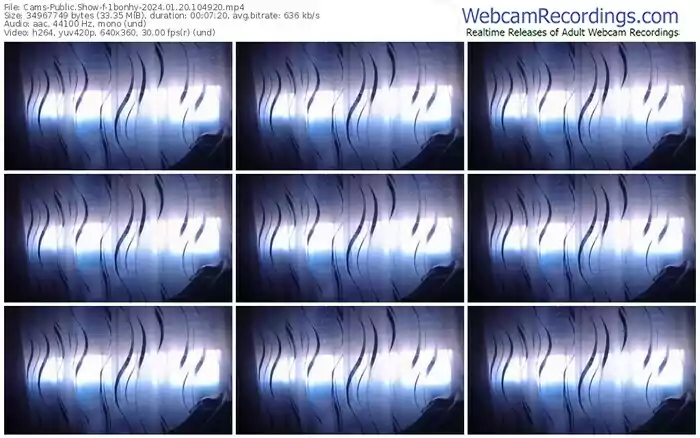 2024/01/20/cams-1bonhy-10-49-20