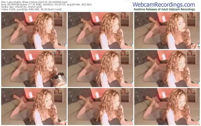 2024/01/29/cams-amia-04-39-56