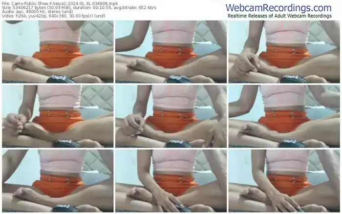 2024/01/31/cams-seiya1-03-48-08