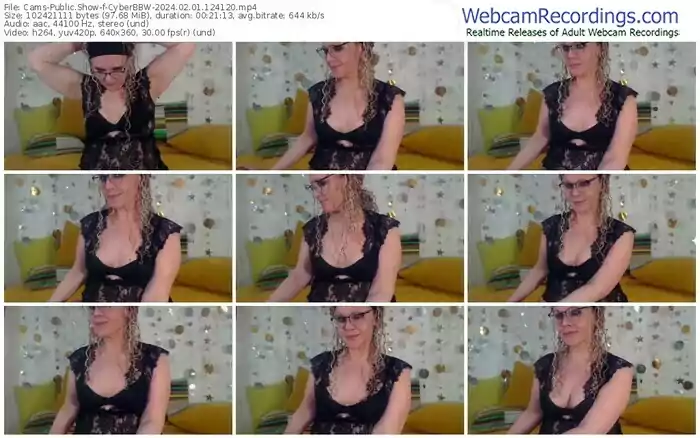 2024/02/01/cams-cyberbbw-12-41-20