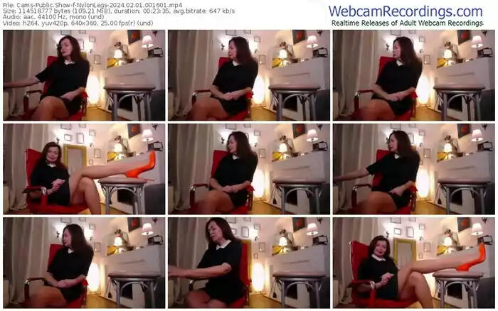 2024/02/01/cams-nylonlegs-00-16-01