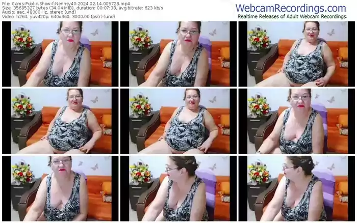 2024/02/14/cams-nennsy40-00-57-28