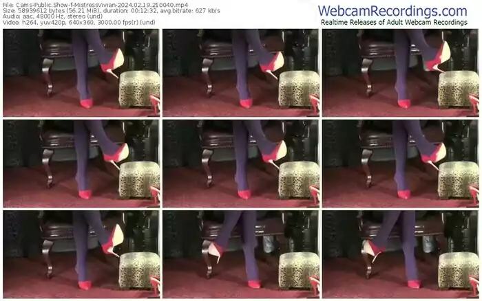 2024/02/19/cams-mistressvivian-21-00-40