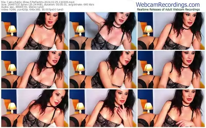 2024/02/25/cams-perfectits-13-03-35