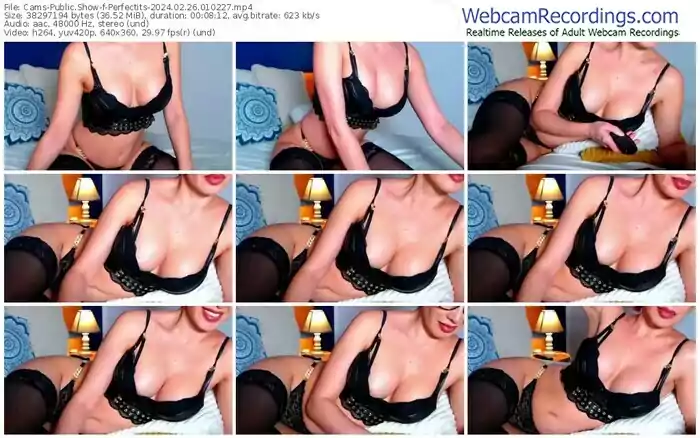 2024/02/26/cams-perfectits-01-02-27