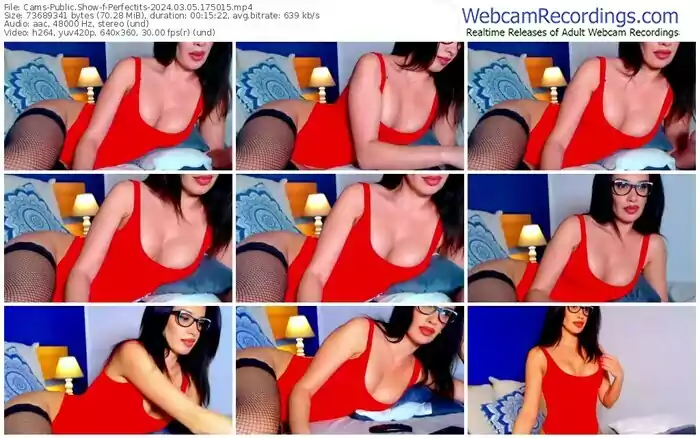 2024/03/05/cams-perfectits-17-50-15