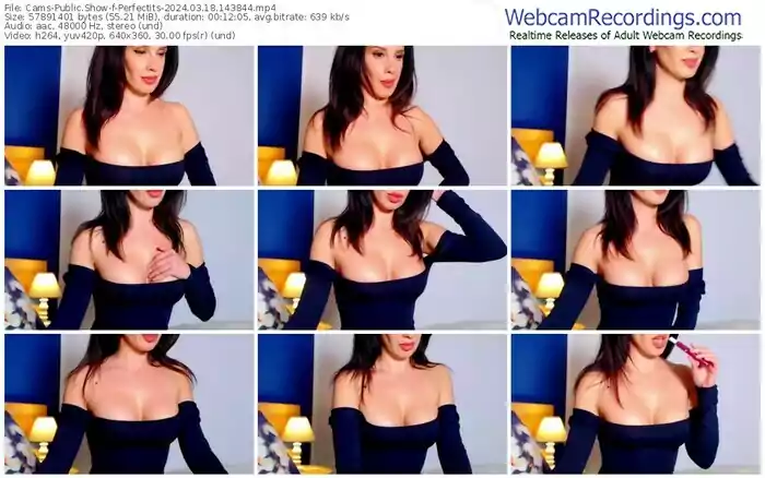 2024/03/18/cams-perfectits-14-38-44