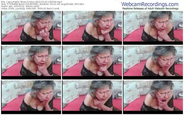 2024/03/20/cams-inass-19-55-39