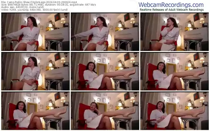 2024/04/03/cams-nylonlegs-23-00-24