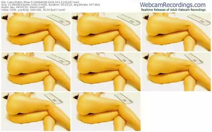 2024/04/13/cams-carina008-23-12-47