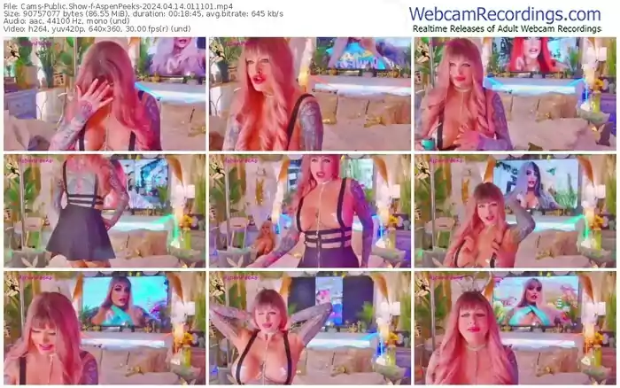 2024/04/14/cams-aspenpeeks-01-11-01