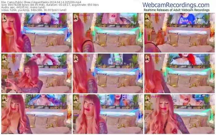 2024/04/14/cams-aspenpeeks-02-53-39