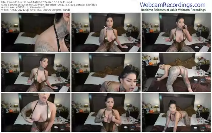 2024/04/15/cams-aaris-12-24-41