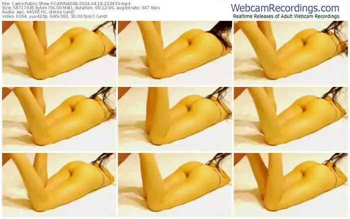 2024/04/18/cams-carina008-22-34-33