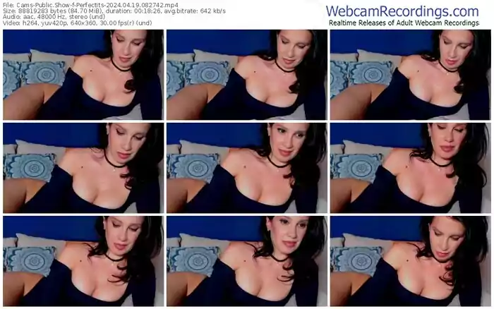 2024/04/19/cams-perfectits-08-27-42