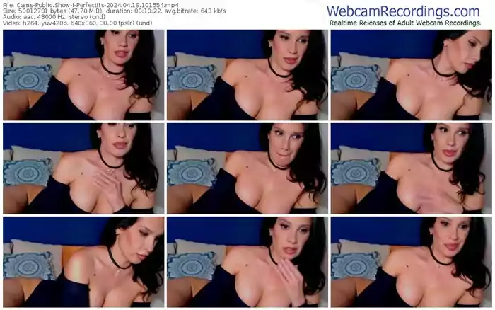 2024/04/19/cams-perfectits-10-15-54