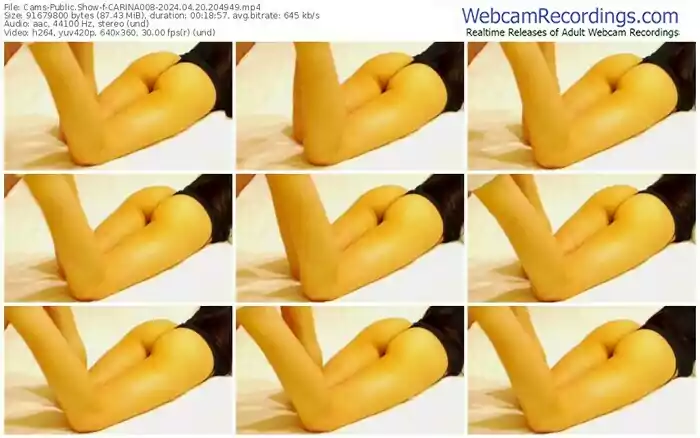 2024/04/20/cams-carina008-20-49-49