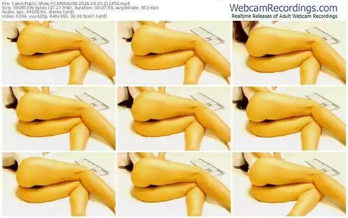 2024/04/20/cams-carina008-21-14-50