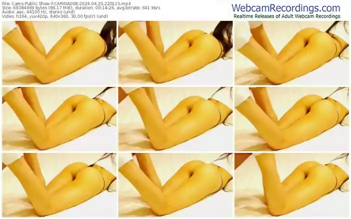 2024/04/20/cams-carina008-22-01-15