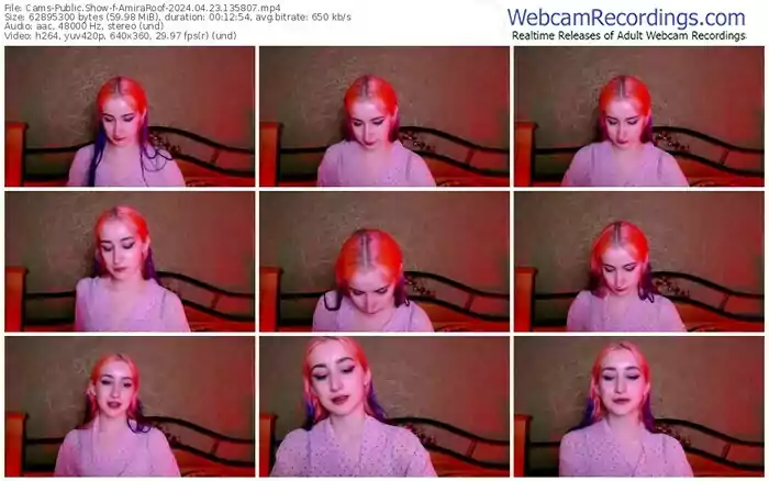 2024/04/23/cams-amiraroof-13-58-07