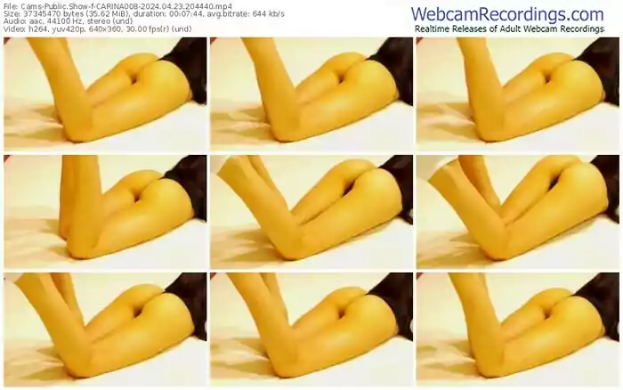 2024/04/23/cams-carina008-20-44-40