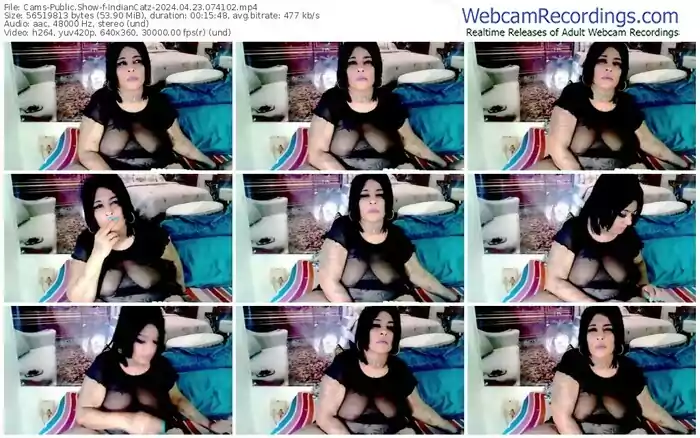 2024/04/23/cams-indiancatz-07-41-02