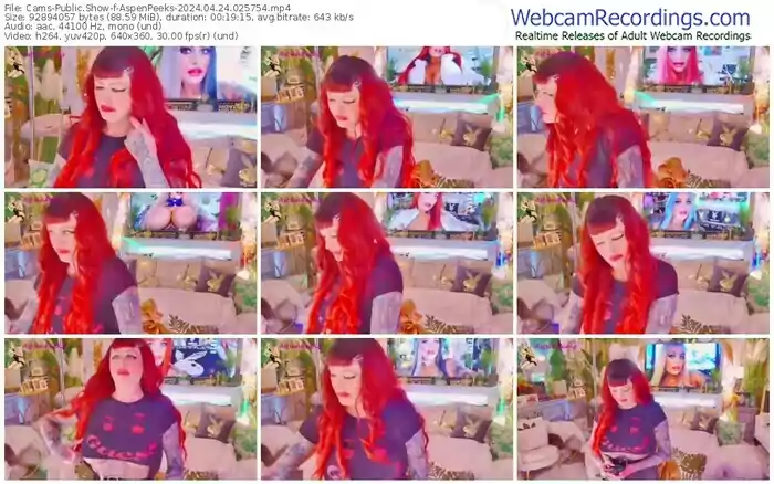 2024/04/24/cams-aspenpeeks-02-57-54