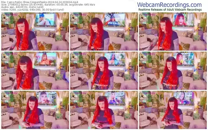 2024/04/24/cams-aspenpeeks-03-36-34