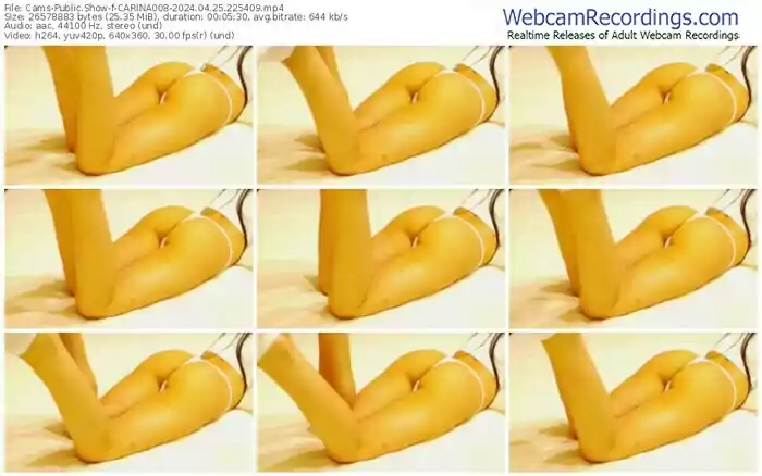 2024/04/25/cams-carina008-22-54-09